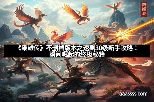 《枭雄传》不删档版本之速飙30级新手攻略：瞬间崛起的终极秘籍